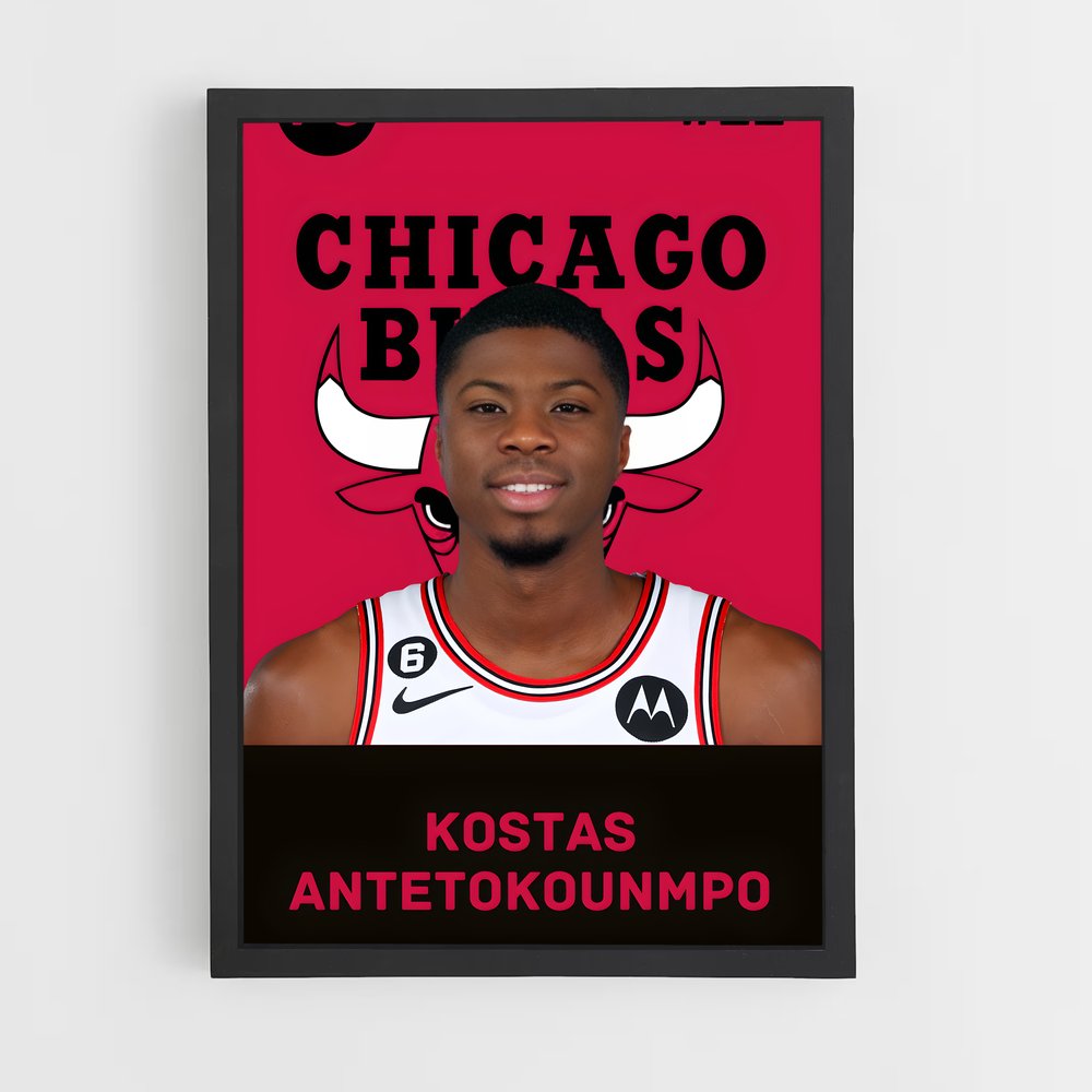 Poster Bulls en Force – affiche Basketball (vue 2)